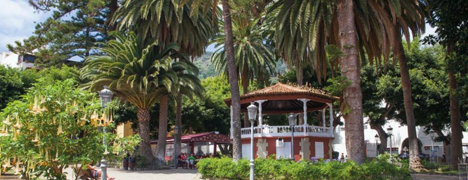 Ferienwohnung Piso En Icod De Los Vinos Exterior foto