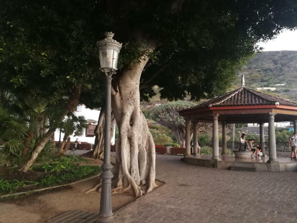 Ferienwohnung Piso En Icod De Los Vinos Exterior foto